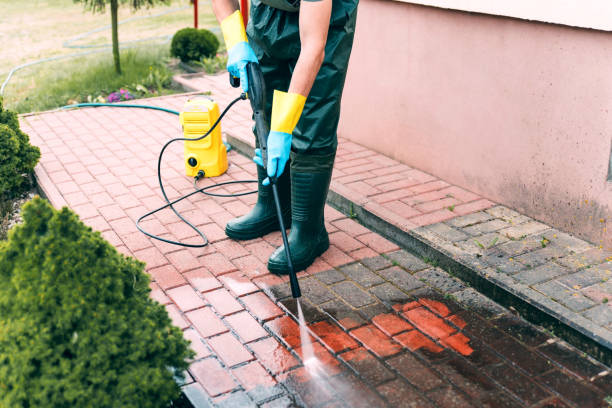 Best Dumpster Area Cleaning  in Erma, NJ